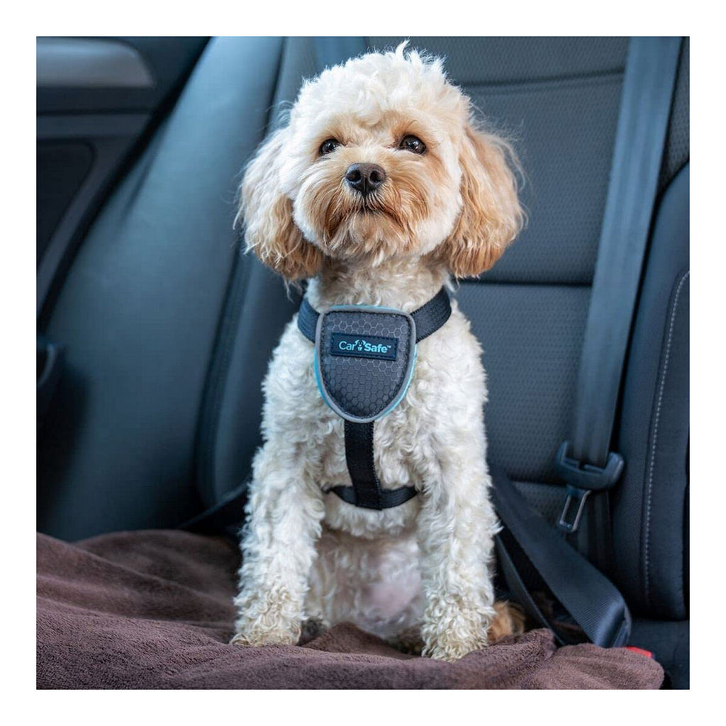 Company of Animals Hundegeschirr CarSafe Schwarz XS – Produktansicht 2