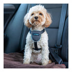 Company of Animals Hundegeschirr CarSafe Schwarz XS – Produktansicht 2