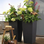 Lechuza Pflanzgefäß 13158 Tafel Polypropylen Kunststoff Bucket – Produktansicht 6