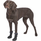Trixie Hundeschuhe 19410 Schwarz – Produktansicht 10