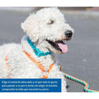 Trixie Hundegeschirr New Premium Rot – Produktansicht 8