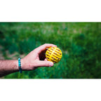 Hunter Ball Launcher für Dogs Gelb Orange Rubber Ball – Produktansicht 6