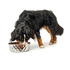 Hunter Hund Feeder Silicone Stainless Stahl 1,05 L – Produktansicht 3