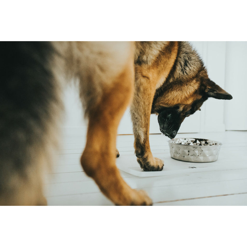 Hunter Hund Feeder Silicone Stainless Stahl 1,05 L – Produktansicht 5