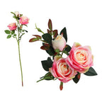 Stem aus 5 Roses – White