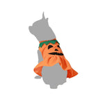 Hund Kostüm Pumpkin Größe M – Produktansicht 3