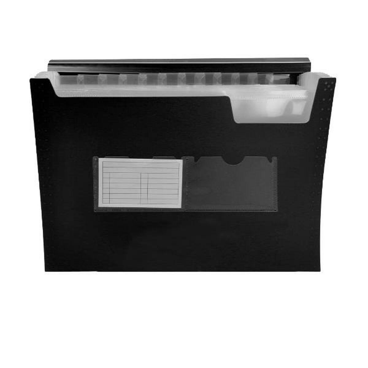 Organiser Folder Liderpapel FU35 Schwarz A4 – Produktbild 1