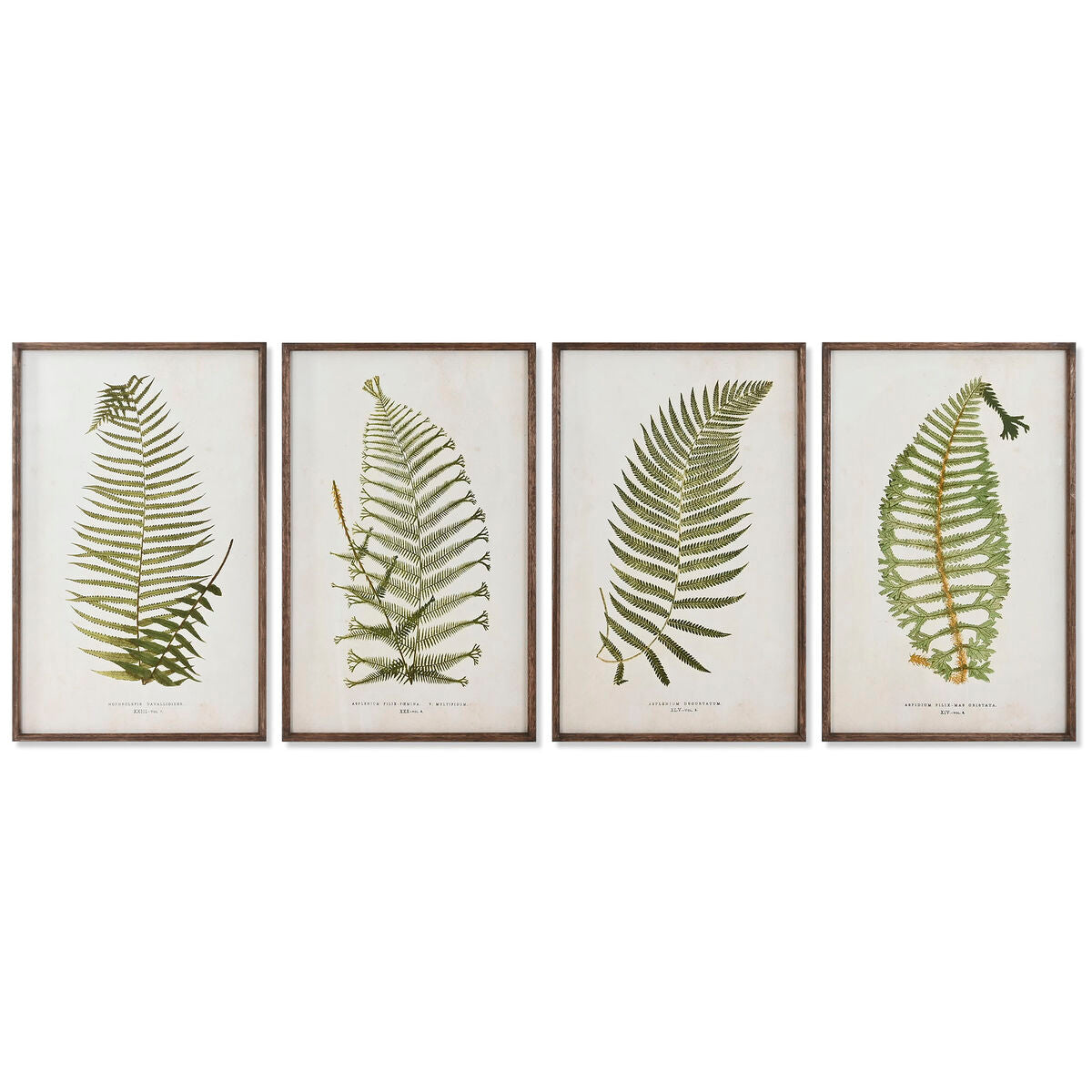 Home ESPRIT Bild Crystal Fir – Weiß – Produktansicht 1