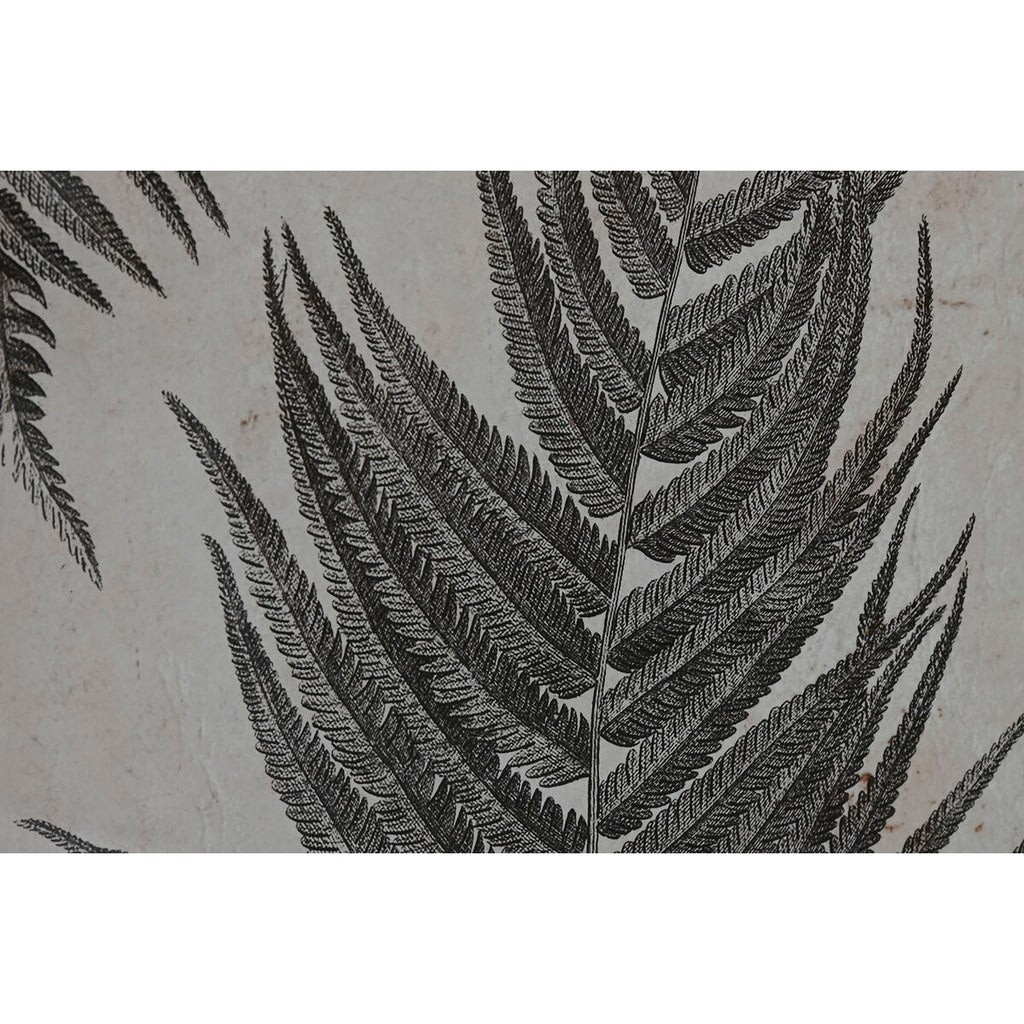 Home ESPRIT Bild Crystal Fir – Produktansicht 3