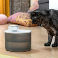 InnovaGoods Wiederaufladbar Cat Wasser Fountain mit Sensor Refopet – Produktansicht 1