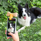 V6HD6A07D760CAC36E77D15D6AA94EB5A12R7841294P6