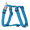 Rot Dingo Hundegeschirr Style Blau Star 25-39 cm – Produktansicht 1