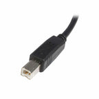 Startech USB A to USB B Kabel USB2HAB1M Schwarz – Produktansicht 2