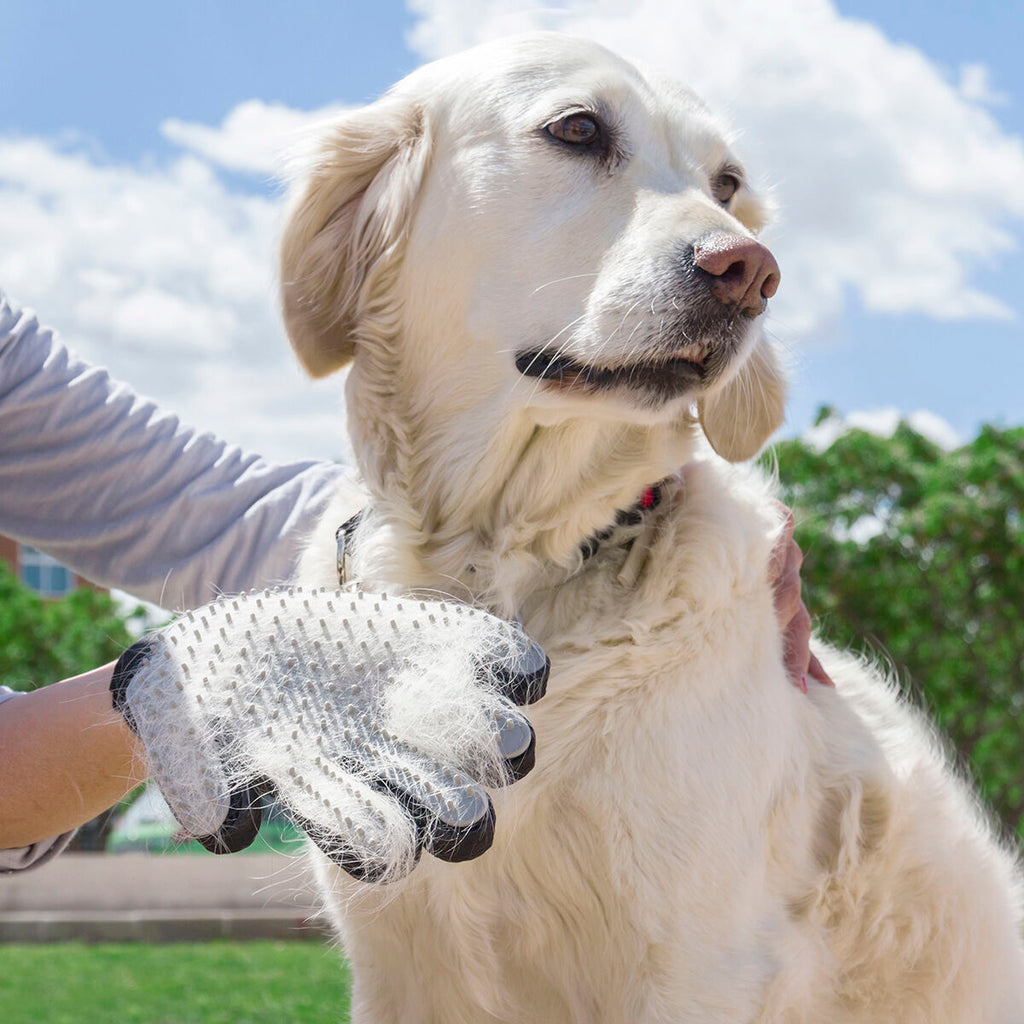 InnovaGoods Haustier Bürste & Massage Glove Relpet – Produktansicht 1
