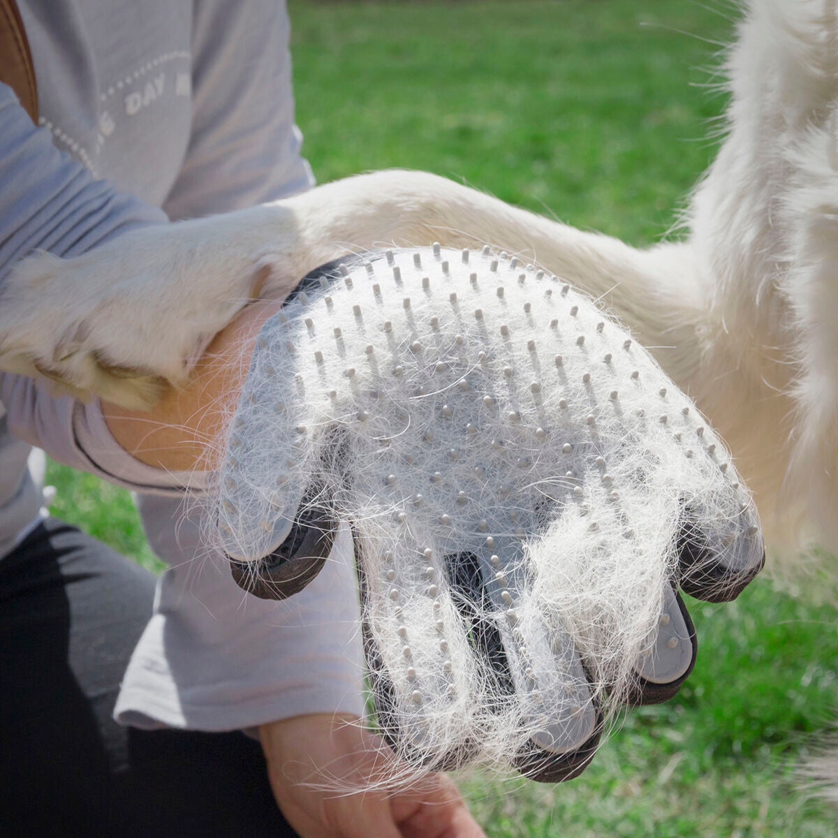 InnovaGoods Haustier Bürste & Massage Glove Relpet – Produktansicht 2