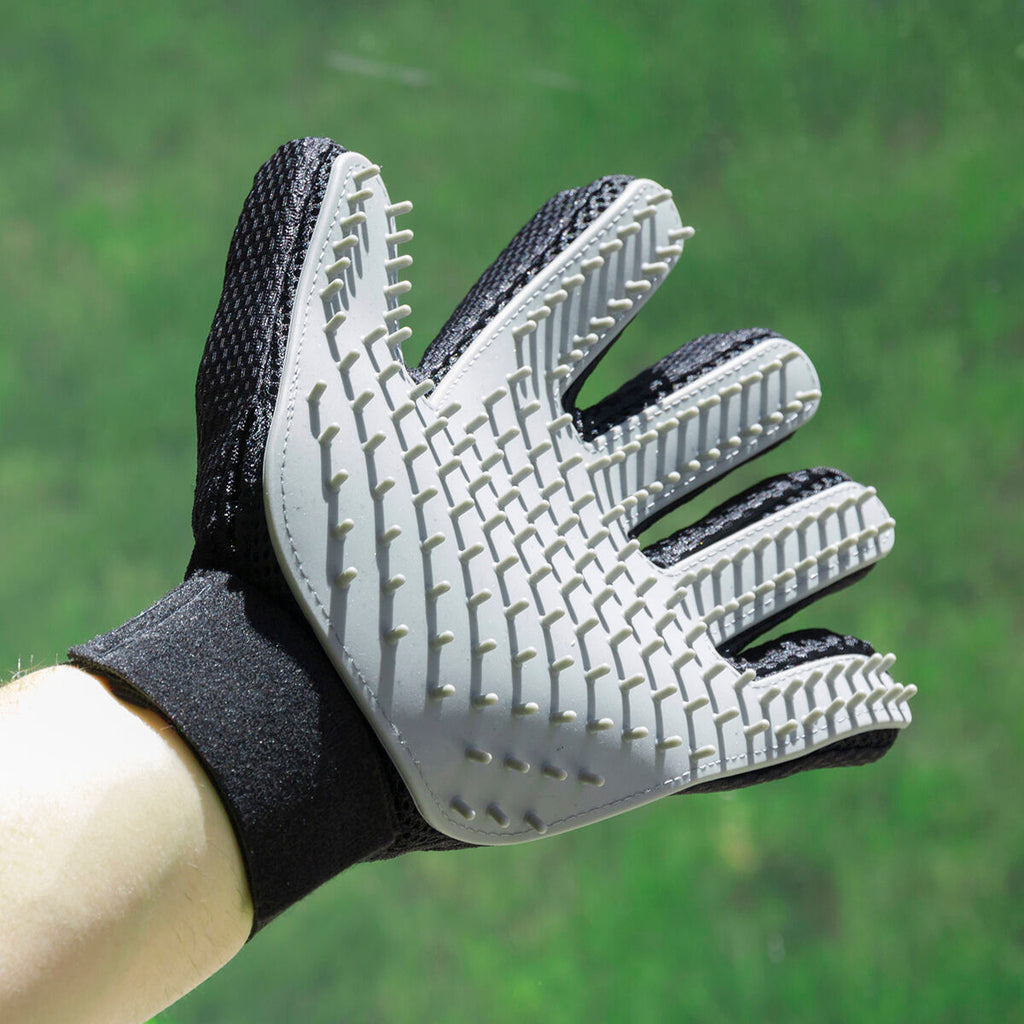 InnovaGoods Haustier Bürste & Massage Glove Relpet – Produktansicht 4