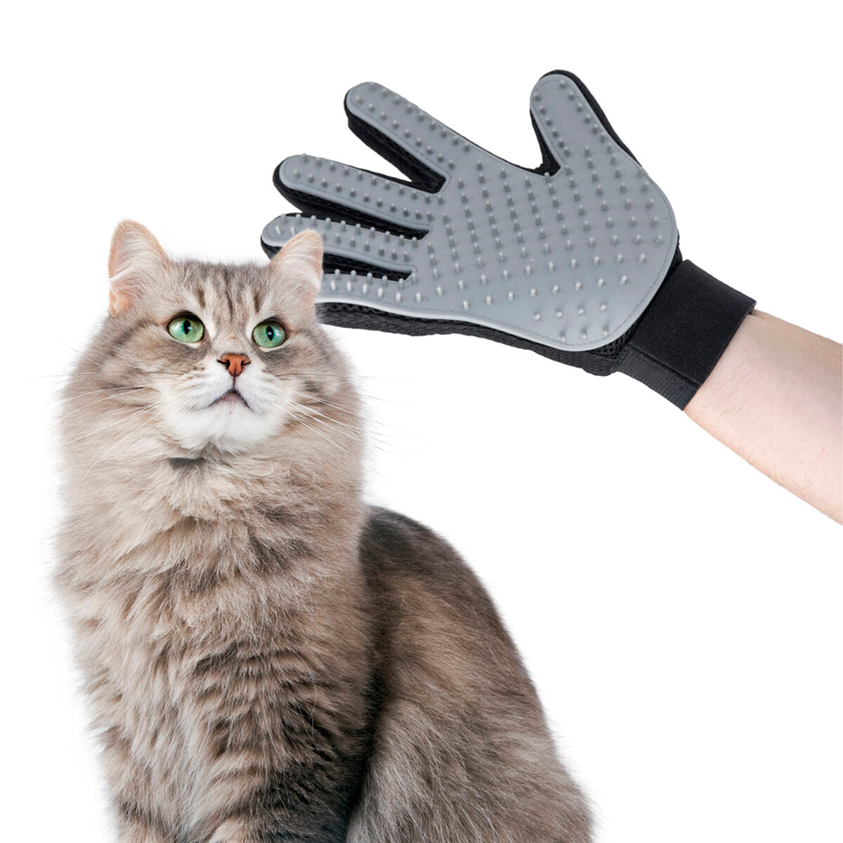 InnovaGoods Haustier Bürste & Massage Glove Relpet – Produktansicht 5