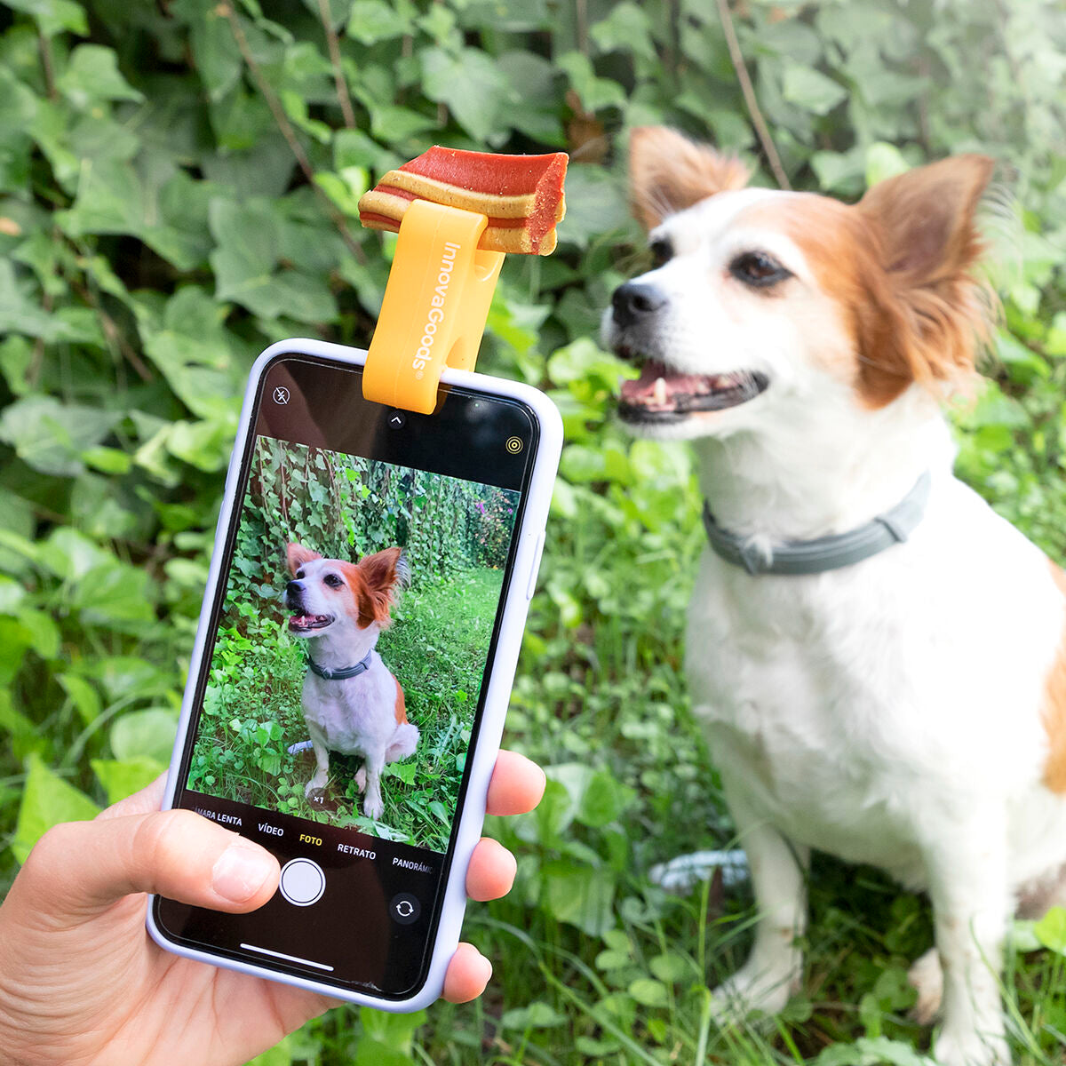 Selfie Clip for Pets Pefie InnovaGoods – Produktbild 1