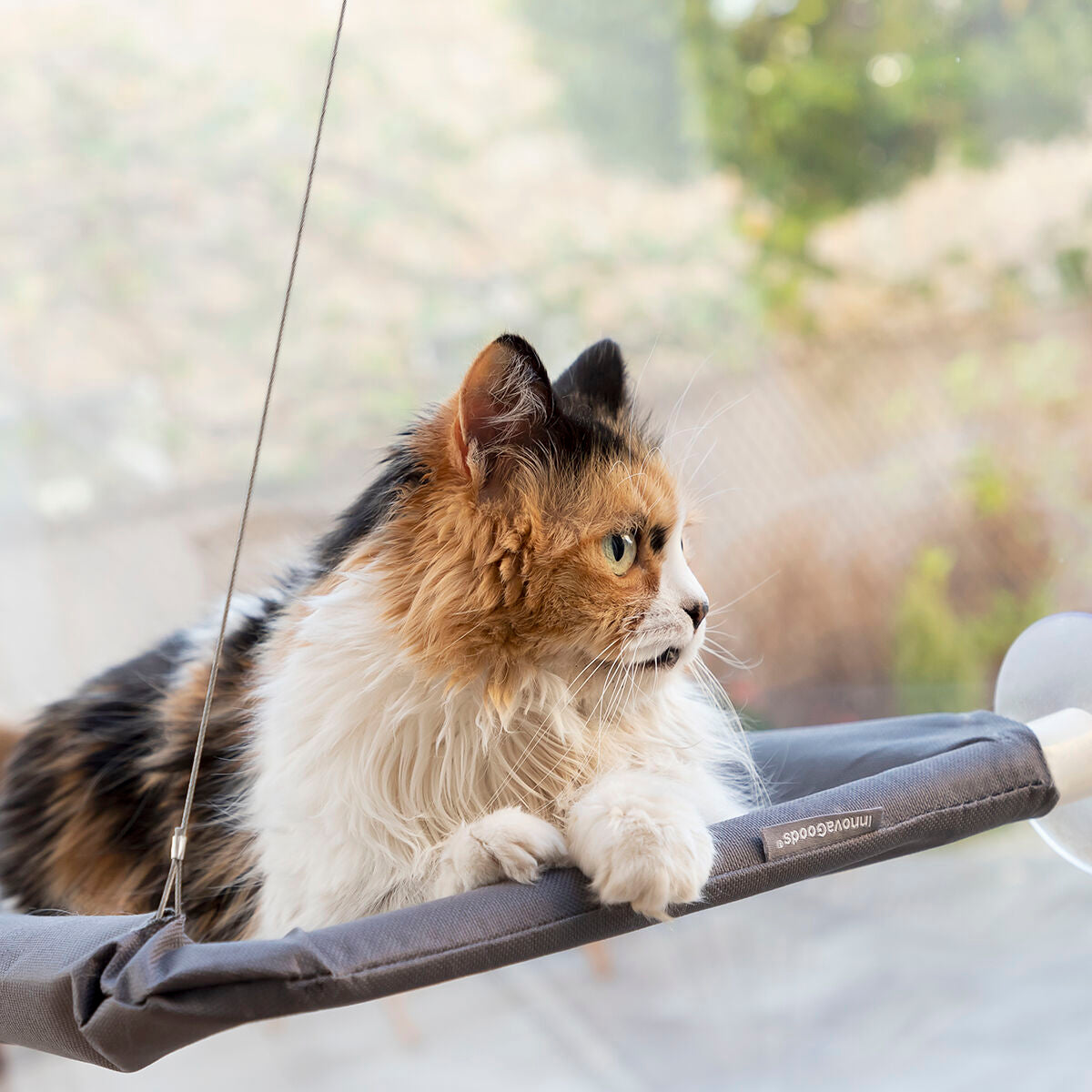 InnovaGoods Hanging Cat Hammock Catlax – Produktansicht 5