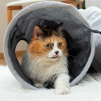 InnovaGoods Collapsible Haustier Tunnel Funnyl – Produktansicht 7