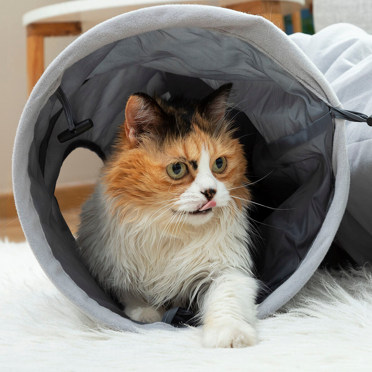 InnovaGoods Collapsible Haustier Tunnel Funnyl – Produktansicht 7