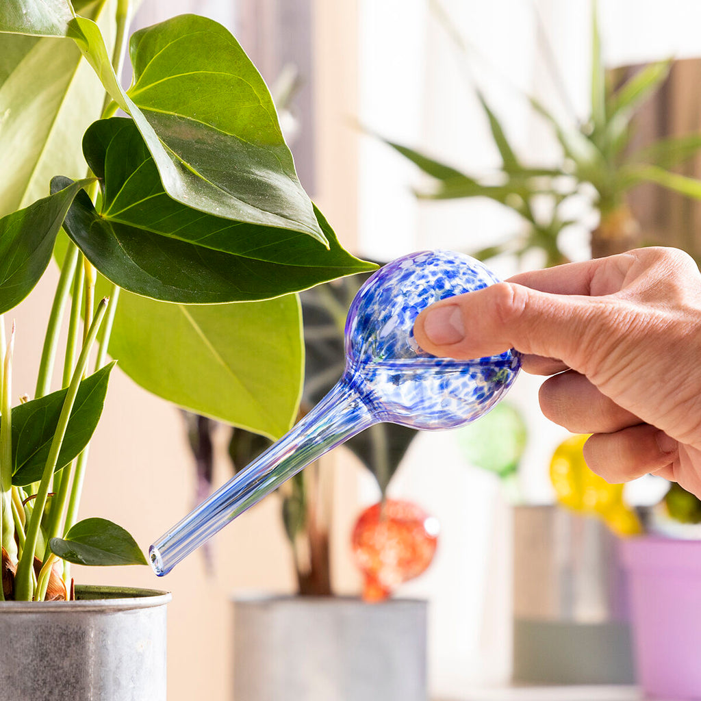 InnovaGoods Automatische Bewässerungskugeln Ballwooters – Produktansicht 2