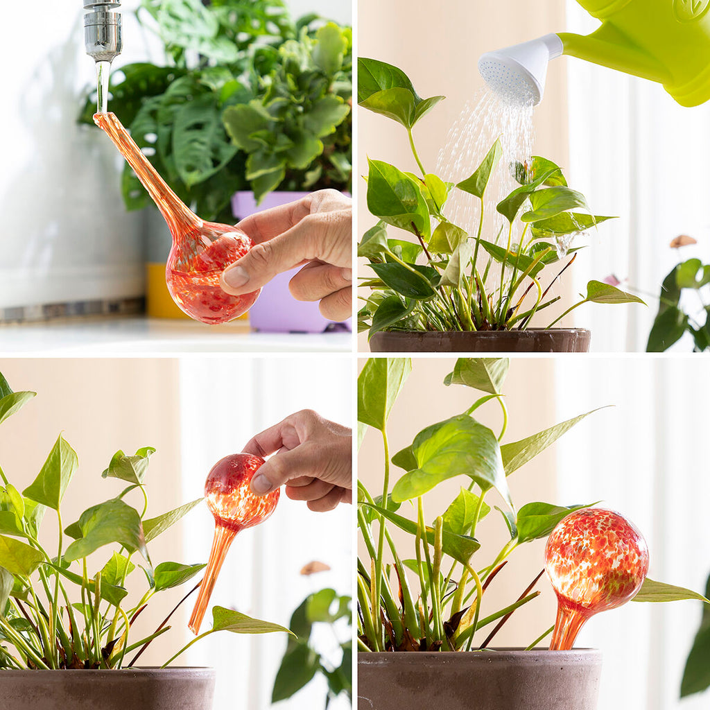InnovaGoods Automatische Bewässerungskugeln Ballwooters – Produktansicht 3