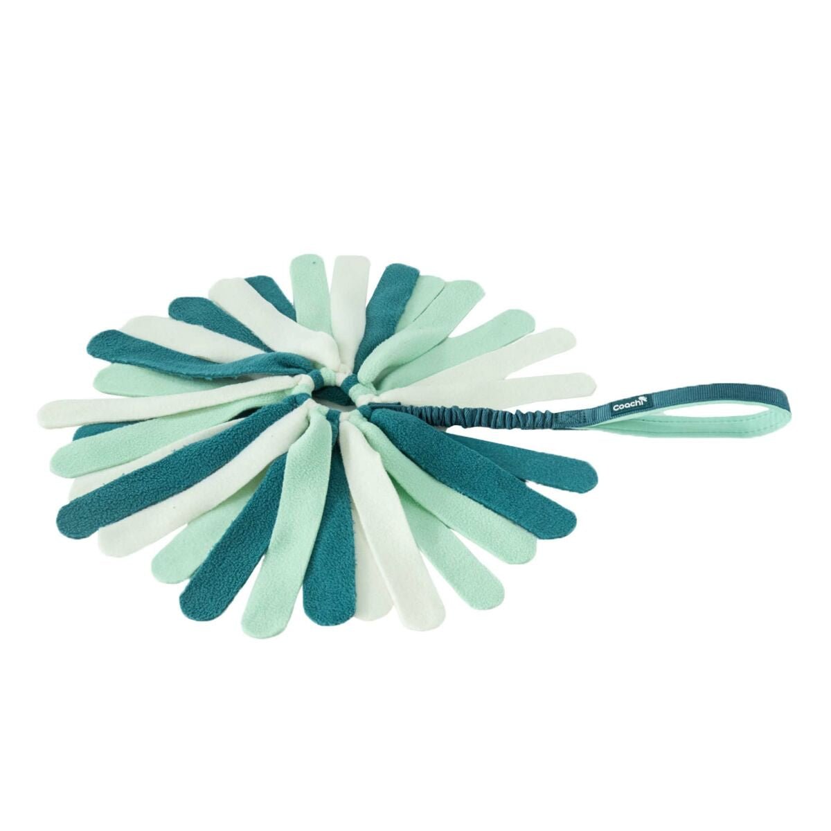 Coachi Hundespielzeug PUPPY & MINI TUGGI SPIDER Grün – Produktbild 1