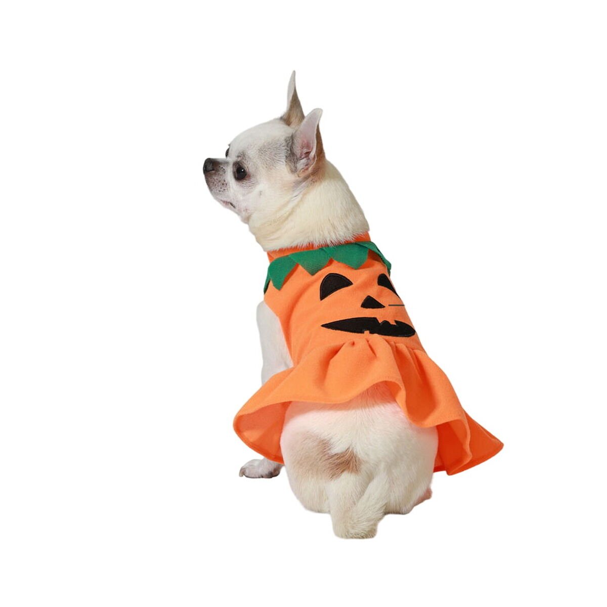 Hund Kostüm Pumpkin Größe M – Produktbild 1