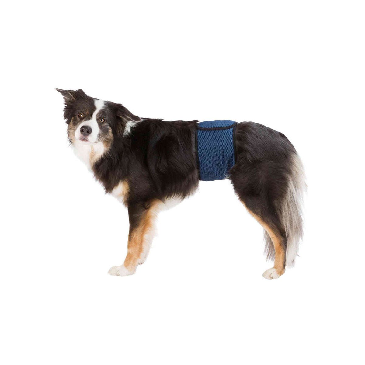 Trixie Incontinence Schutz Male Plug Abdomen – Produktbild 1
